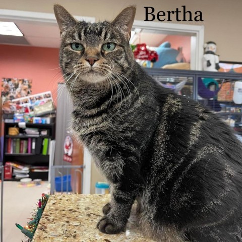 Bertha 23372