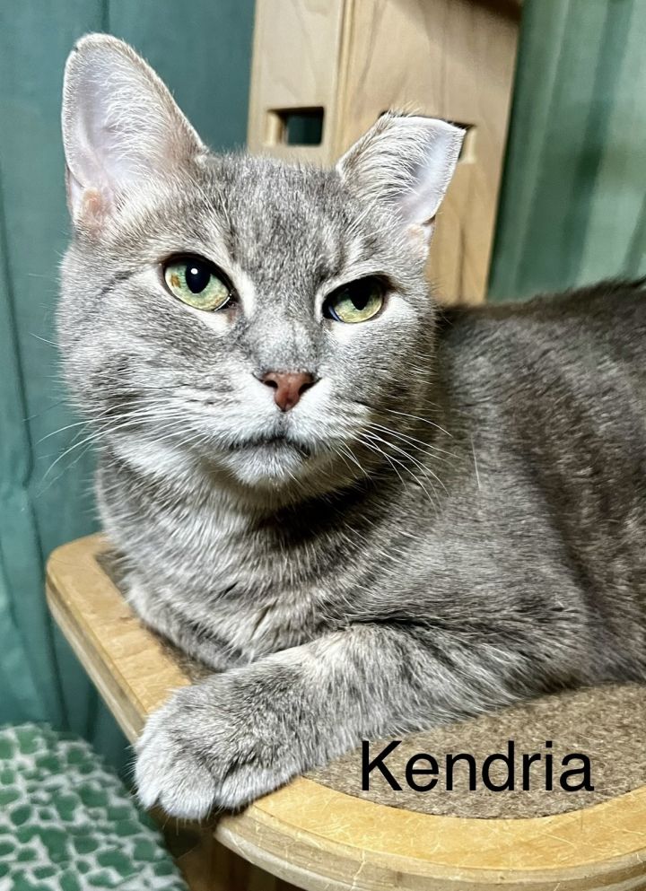 Kendria 5