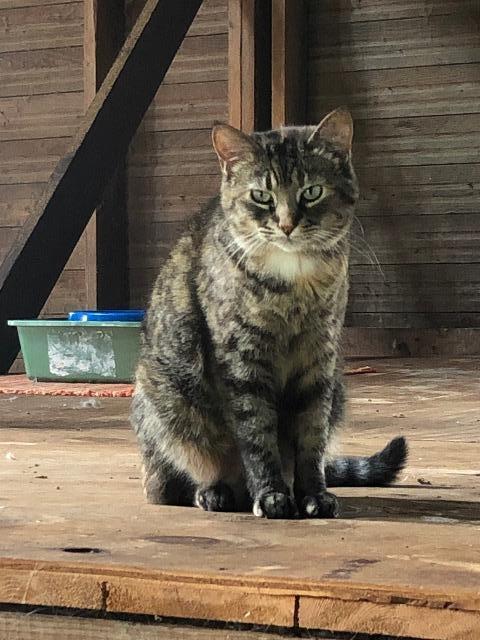 Princess Marie Monterosso