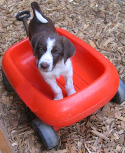 MARTY-ADOPTED! 2