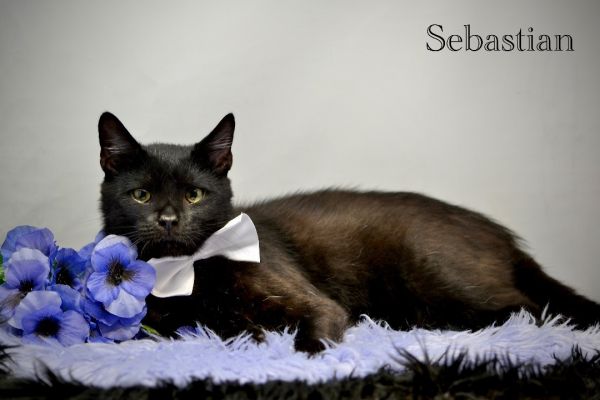 Sebastian