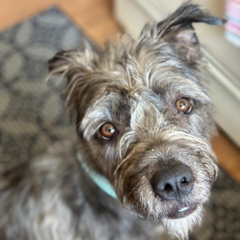 Walter