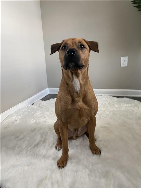 ELI