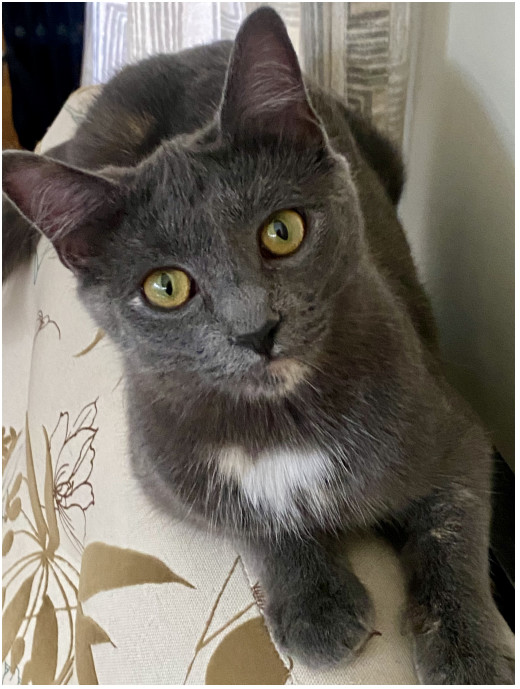 Blossom & Bubbles (Bonded Pair) 5