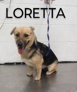 Loretta 3
