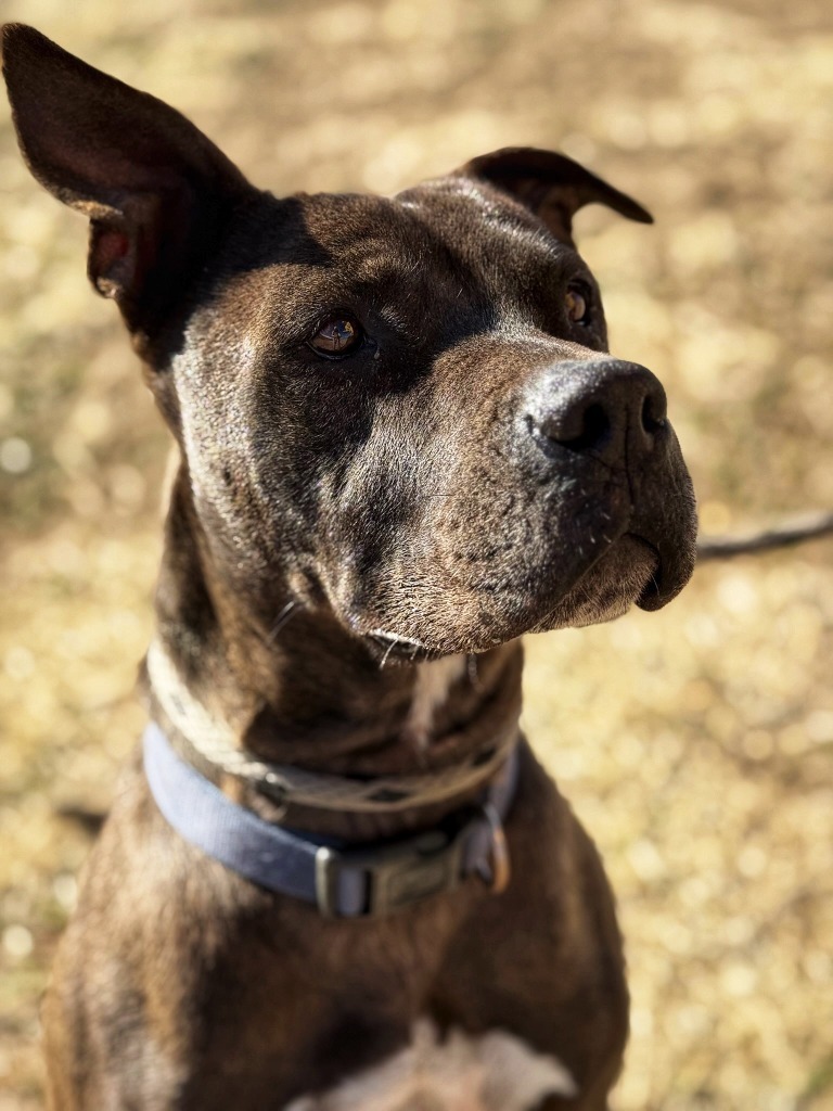 Jack