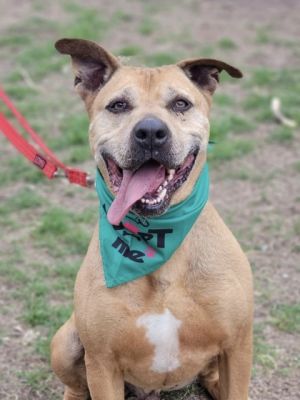 Naco, Senior Male unknown