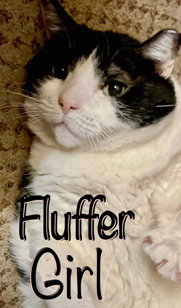 Fluffer Girl