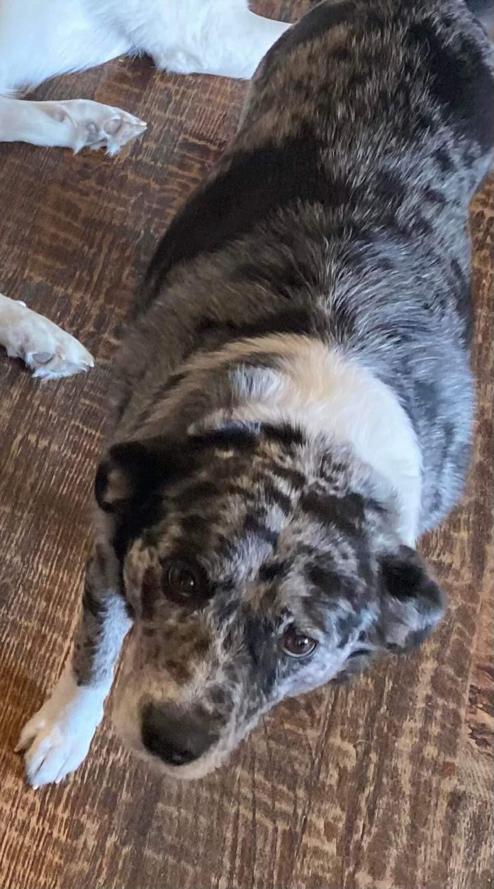 Puddles aka Luna 2
