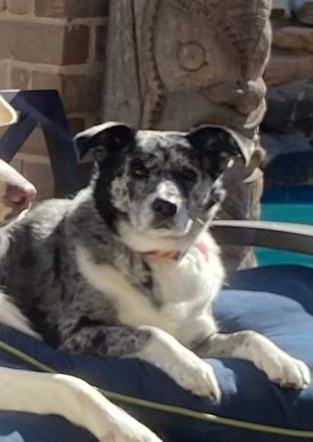 Puddles aka Luna 3