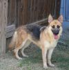 Callie Mae photo 1