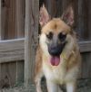Callie Mae photo 2