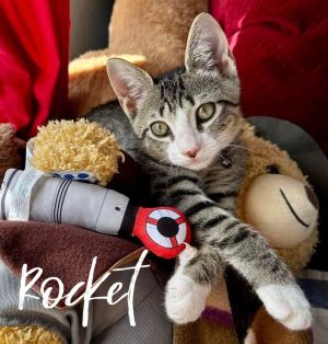 Rocket