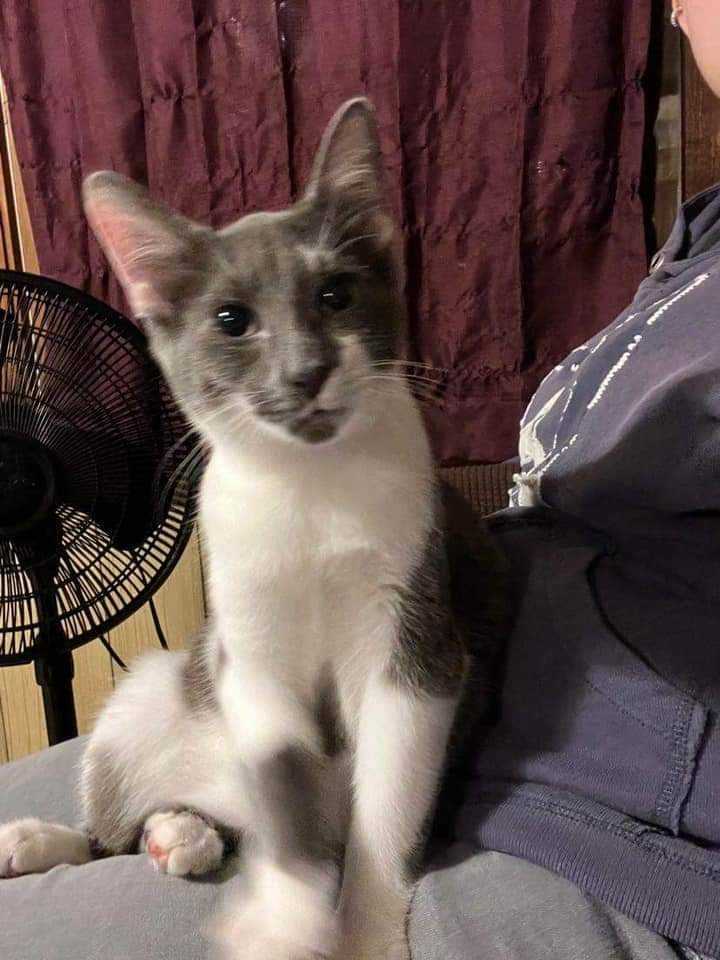 Bruce