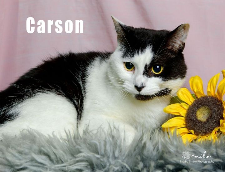 Carson 3