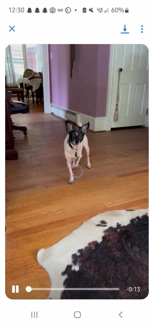 Doby 2