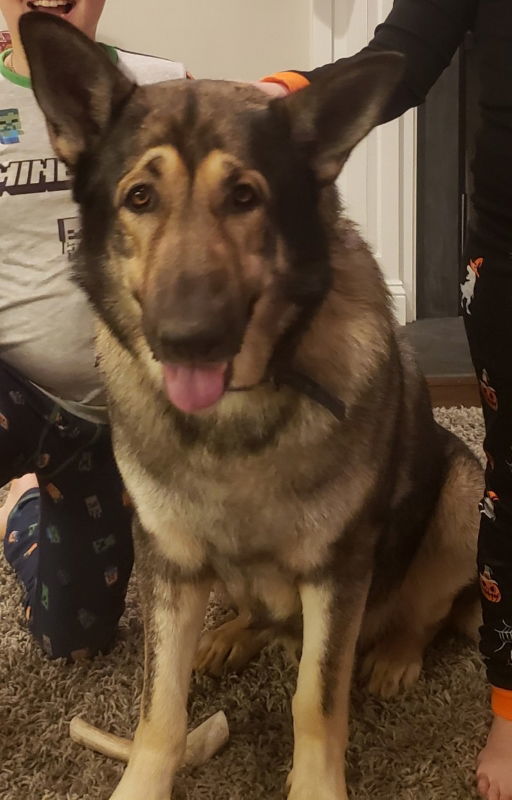 Buck