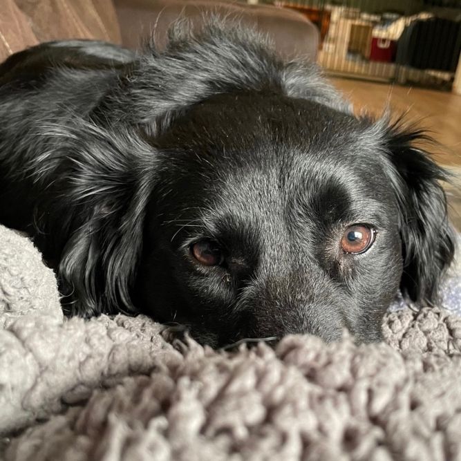 Ellie