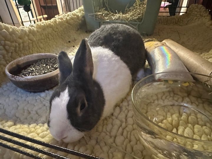 Penelope  3