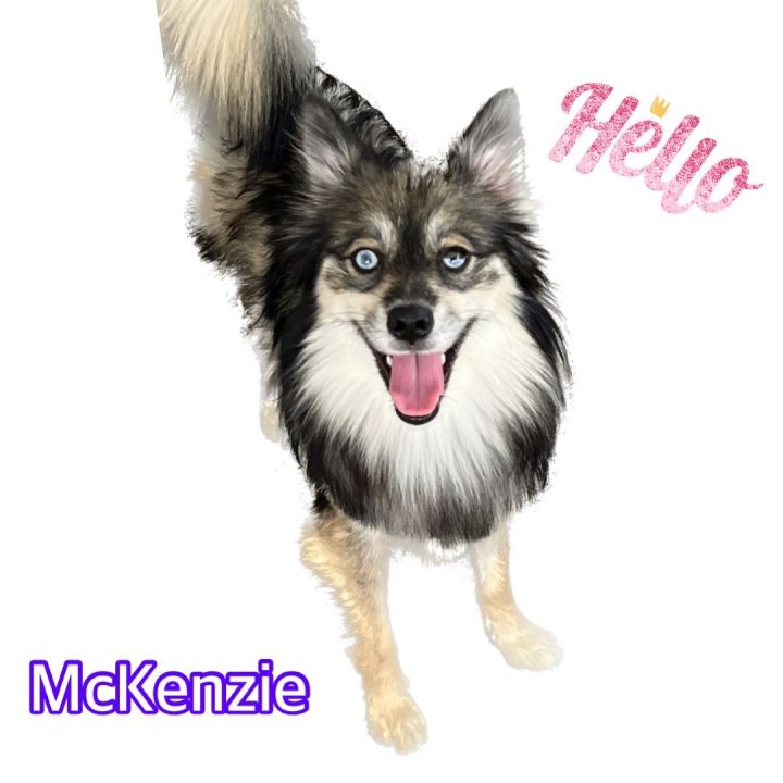 McKenzie  1