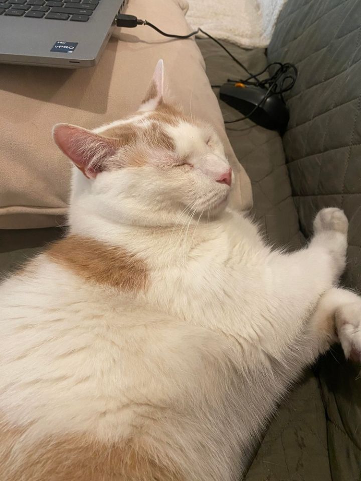 Murphy 4