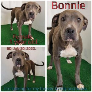 Bonnie