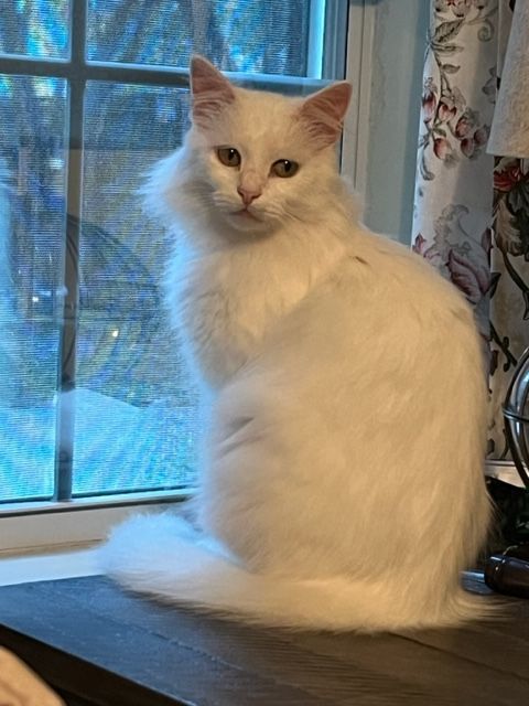 PEARL
