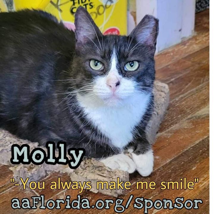 Molly 1