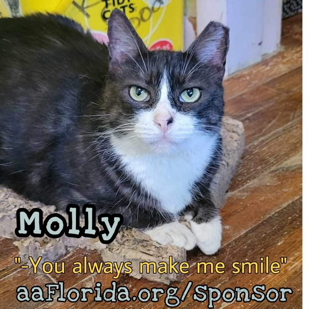 Molly detail page