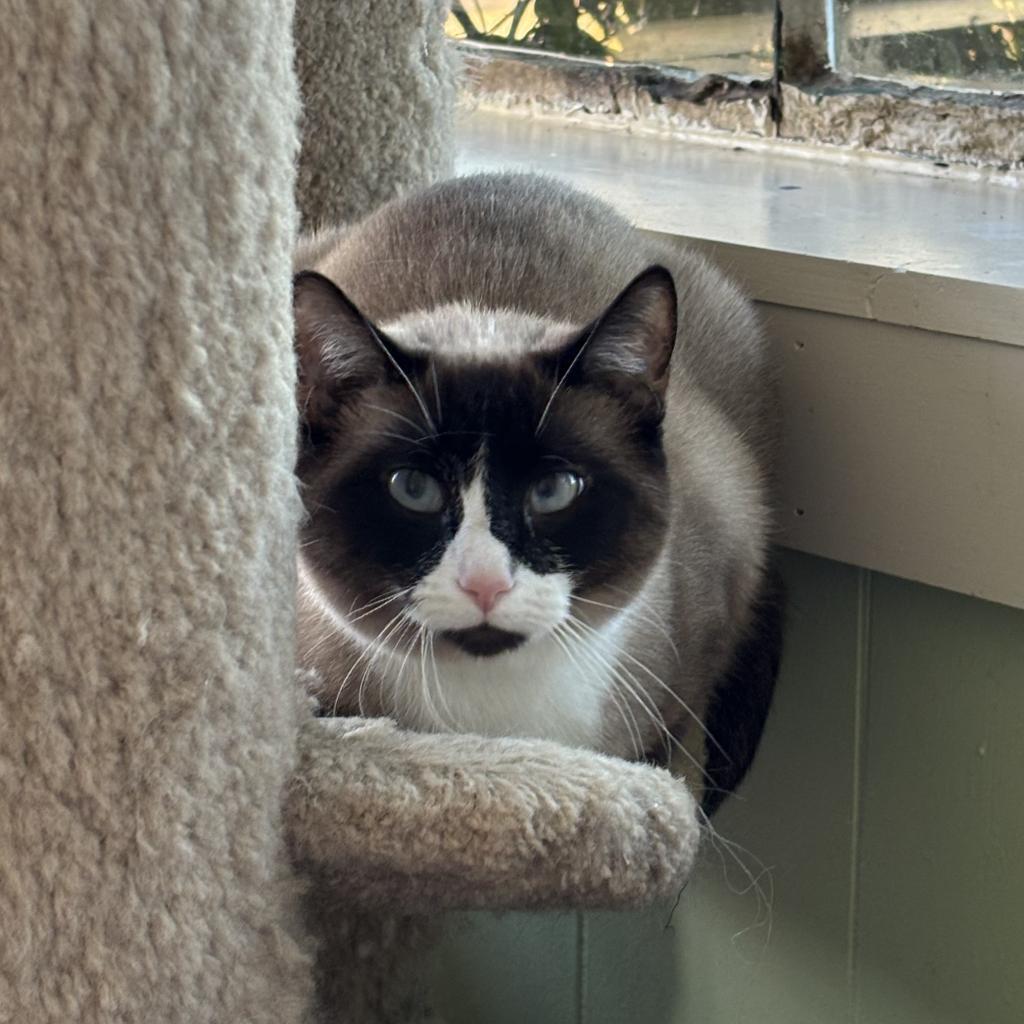 Mama Bandit