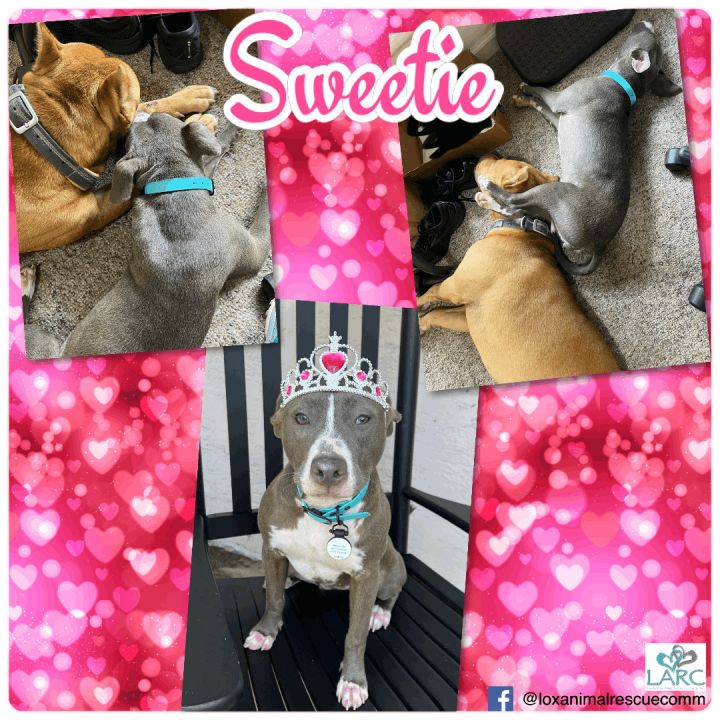 Sweetie (Niah) 1