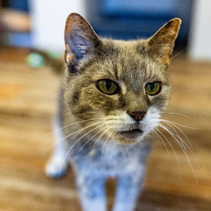 Louise 3