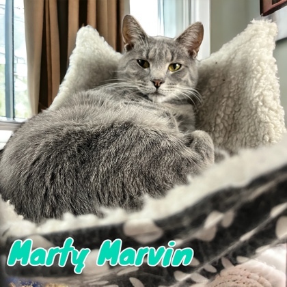 Marty Marvin