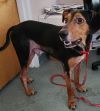 Jethro photo 1