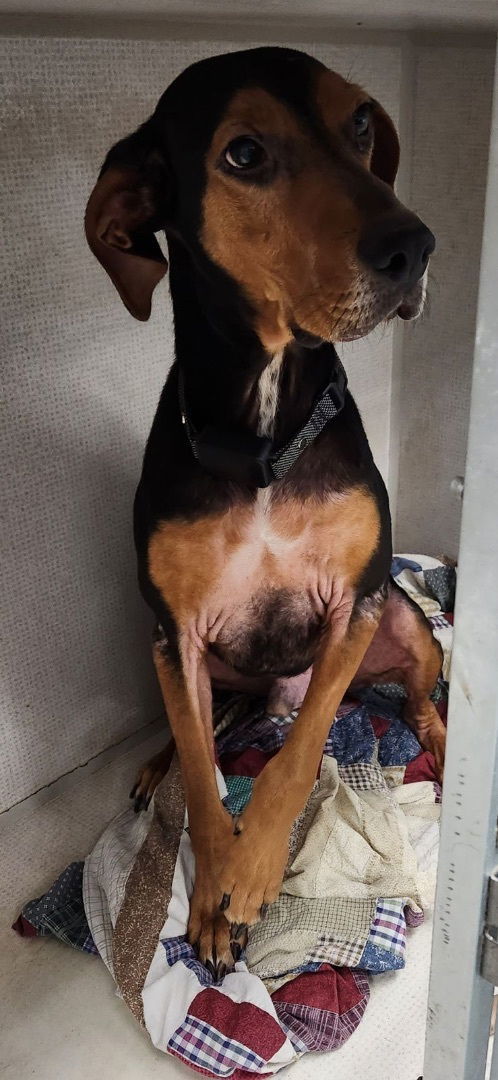 Jethro