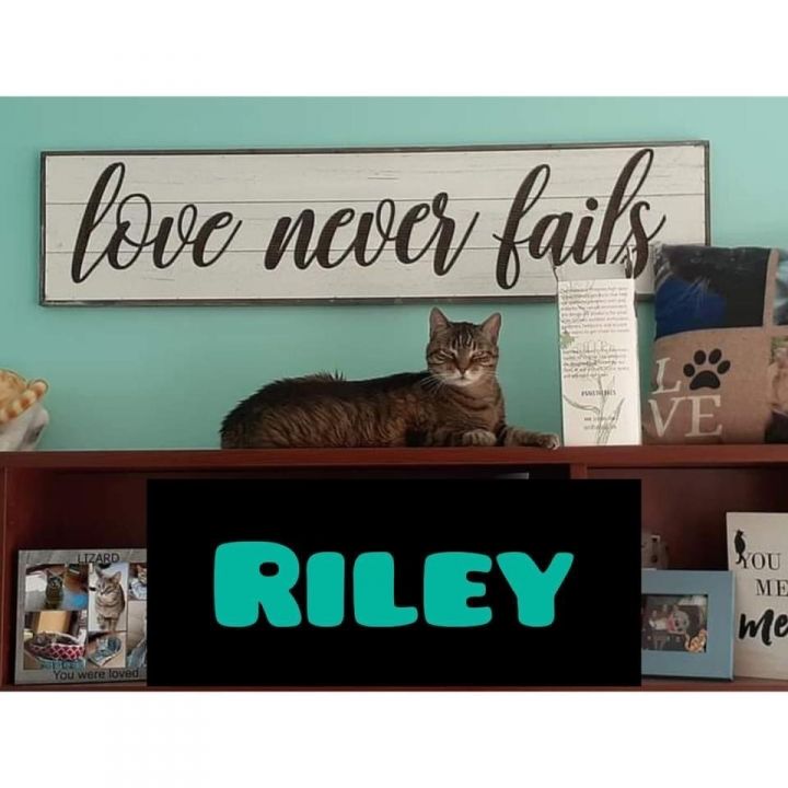 Riley - 12 years old 1