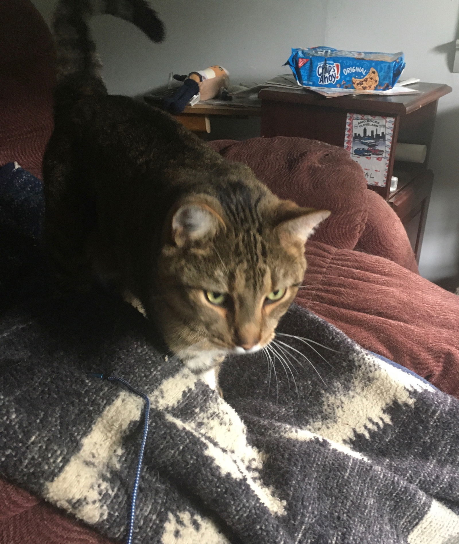 Simon