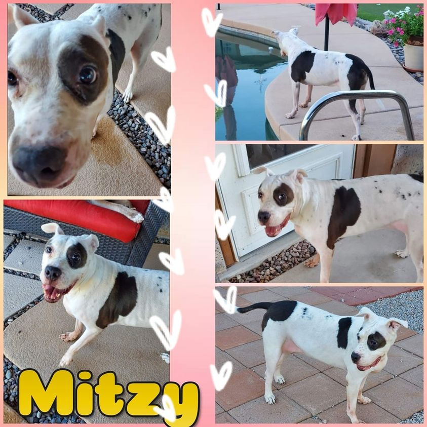 Mitzy detail page