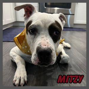 Mitzy