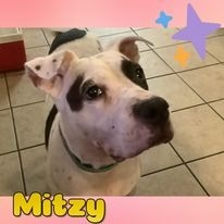 Mitzy 2