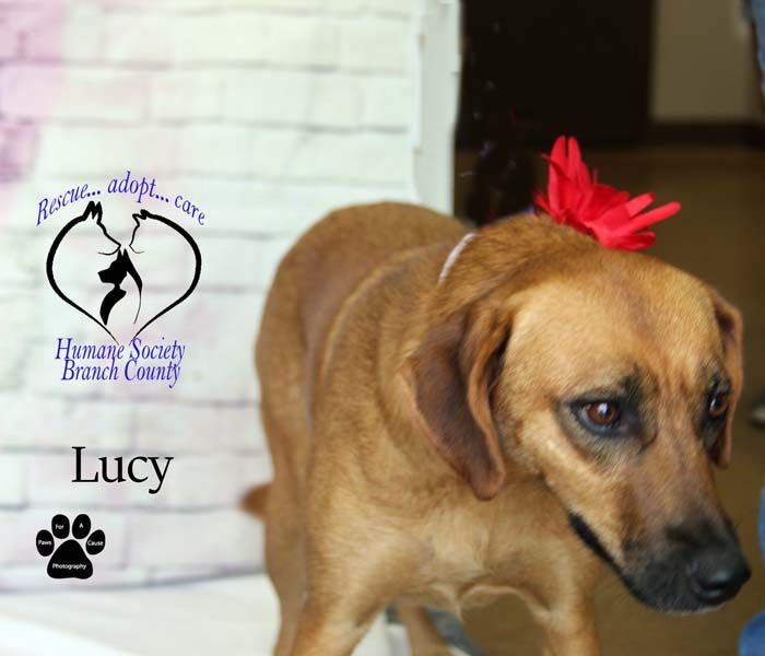 Lucy--SEE VIDEO--IN TRAINING 2