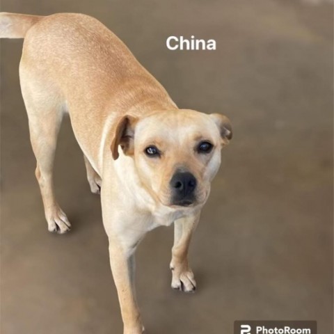 China