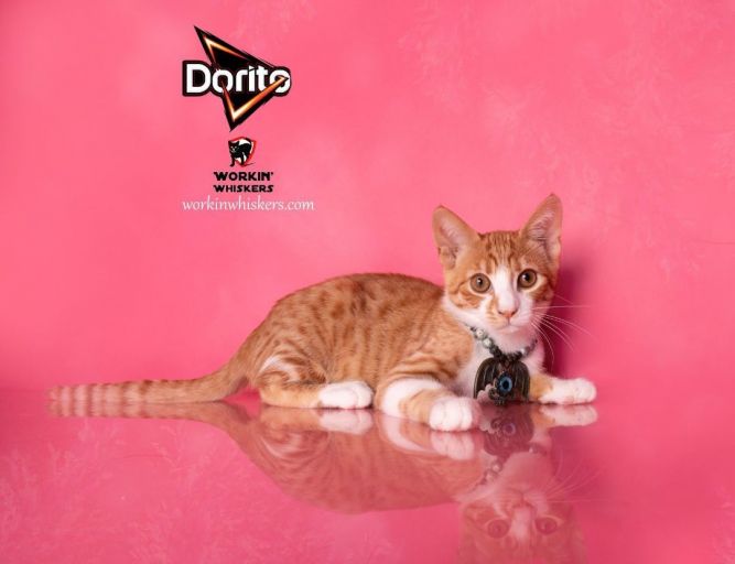 DORITO