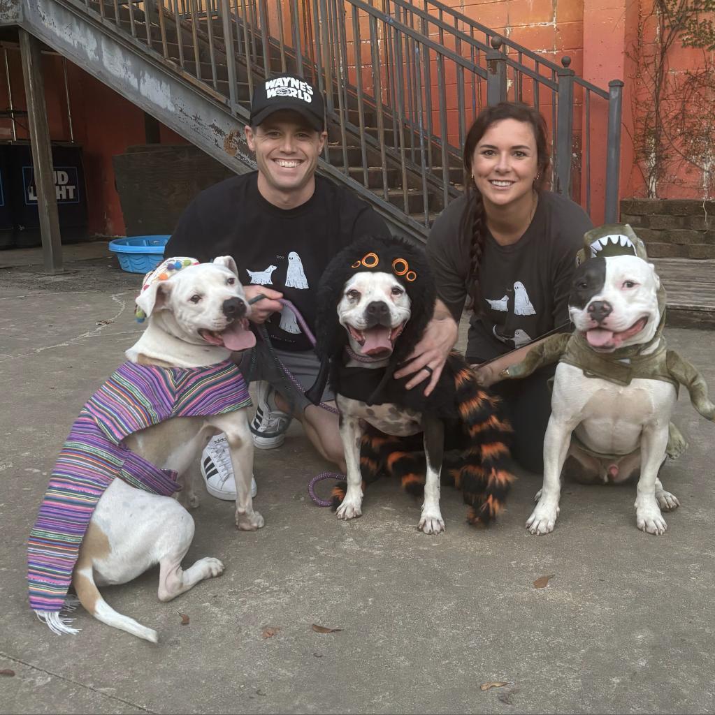 Grace (Stacey), an adoptable Mixed Breed in Starkville, MS, 39760 | Photo Image 2