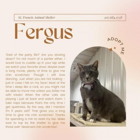 Fergus 3