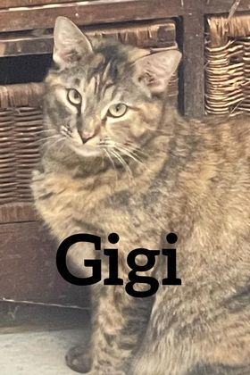 Gigi detail page