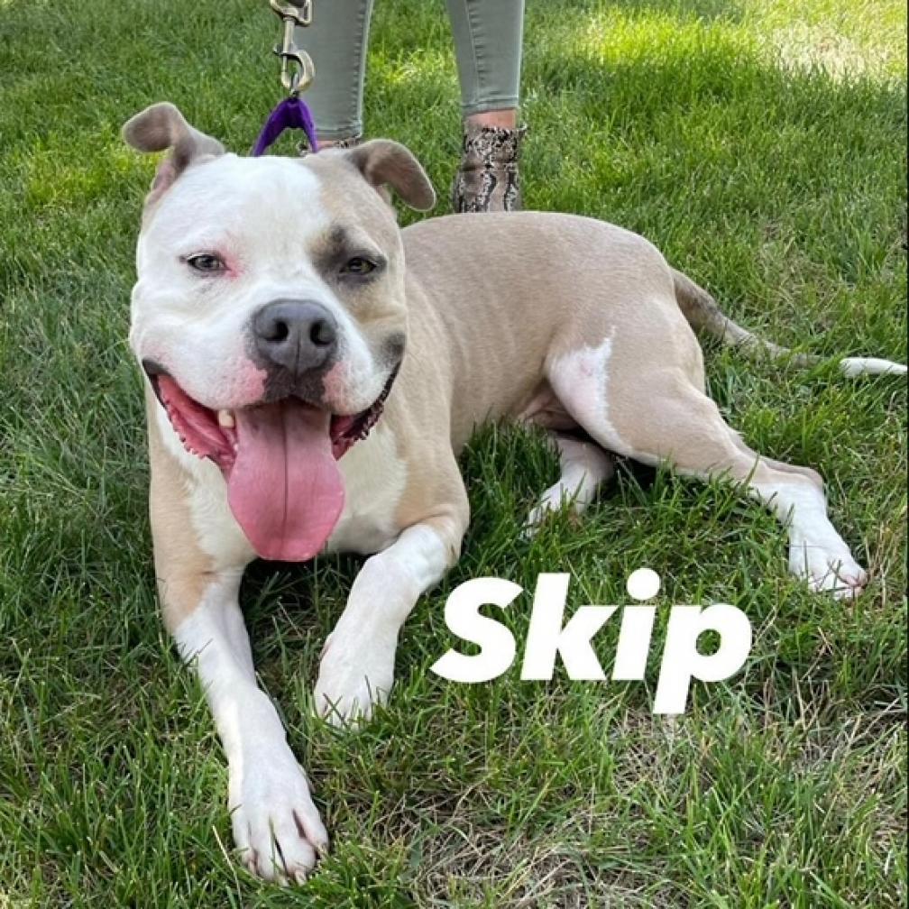 Skip