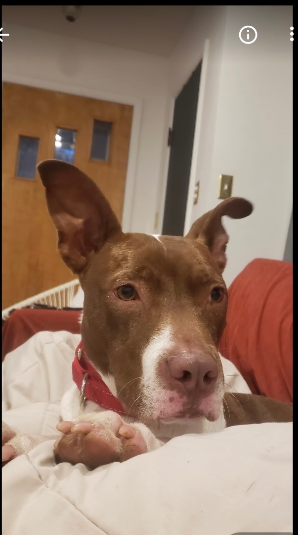 Nash