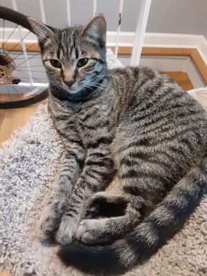 Hector