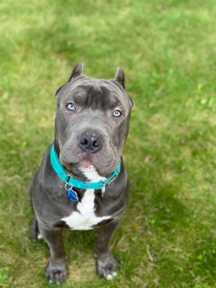 Bruce  1